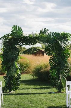 an outdoor ceremony setup with white chairs and green plants on the grass, surrounded by tall palm trees