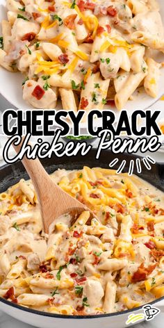 Experience comfort on a plate with crack chicken penne, where creamy cheese, savory bacon, and tender chicken unite for a truly satisfying meal. Chicken Penne Recipes, Chicken Penne Pasta, Penne Recipes, Zesty Ranch, Penne Pasta Recipes, Chicken Penne, Easy Pasta Dinner