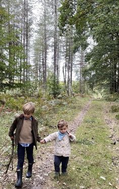 two children are walking in the woods holding hands