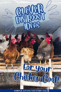 the cover of clever diy post ideas for your chicken coop, featuring chickens on a platform