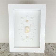 a white frame with shells in it on a wooden floor