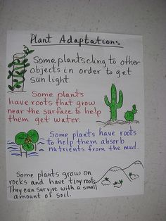 a sign posted on the side of a wall that says plant adaptations some plants tend to other objects in order to get light