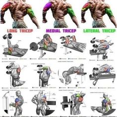 training program Tricep Workout Gym, Tricep Workout Routine, Big Biceps Workout, Chest And Tricep Workout, Bicep And Tricep Workout, Tricep Workout, Trening Sztuk Walki, Gym Workout Planner, Workouts For Men