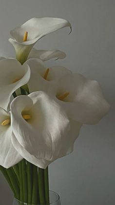 white flowers are in a glass vase on a table