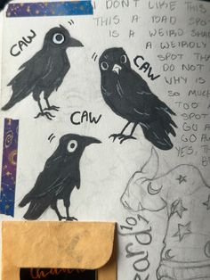 some black birds sitting on top of a piece of paper with words written in it