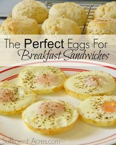 the perfect eggs for breakfast sandwiches on a plate