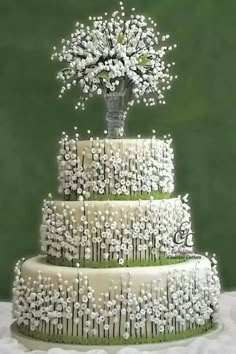 a three tiered cake with white flowers on top