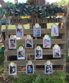 a wooden sign with pictures and numbers on it that says one wild year in front of a tree