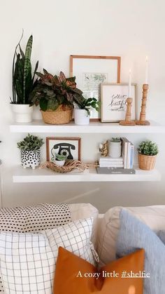 some plants and pictures are sitting on the shelves