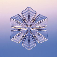 a snowflake that looks like a flower in the air with blue sky behind it