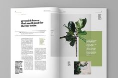 an open magazine with green leaves on the front and back pages, in white paper