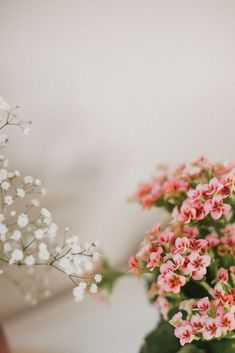 small pink and white flowers in a vase on a table next to a wall with a mirror