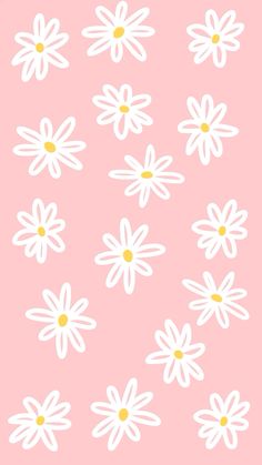 white daisies on a pink background