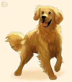 a drawing of a golden retriever dog standing with its front paws on the ground