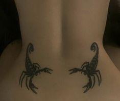 the back of a woman's stomach with scorpion tattoos on her lower body and chest