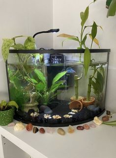 an aquarium filled with plants and rocks on top of a white table next to a plant pot