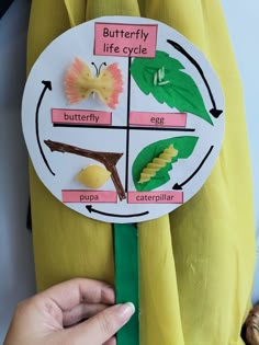 a person holding up a paper cut out of a butterfly life cycle on a banana