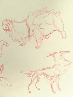 three drawings of different animals on a piece of paper