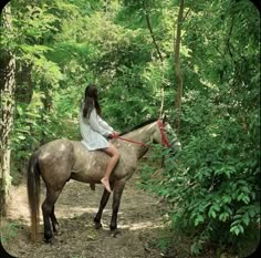 a woman riding on the back of a brown horse through a forest