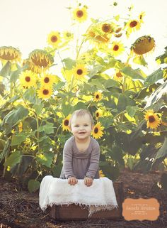 a little boy sitting on top of a wooden box in front of sunflowers