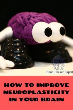 "Find out which foods can boost your brainpower and keep your mind sharp." Brain Hacks, Healthy Cleanse, Brain Boost