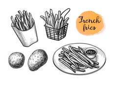 french fries and potatoes on a plate with a cup of ketchup hand drawn sketch illustration