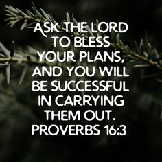 a pine branch with the words, ask the lord to blessing your plans and you will be successful in carrying them out proves