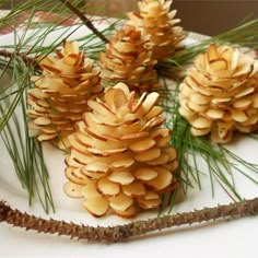 some pine cones are sitting on a plate