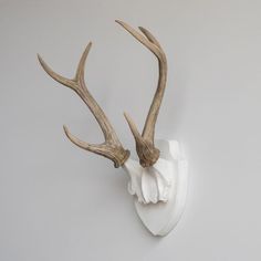 Norse House, Antlers Wall Decor, Deer Antler Wall Decor, Deer Antler Mount, Scottish Interiors, Antler Rack, Antler Wall Decor, Taxidermy Deer, Deer Antler Decor