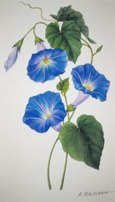 a painting of blue flowers with green leaves