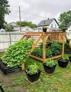 an outdoor garden with many plants growing in it