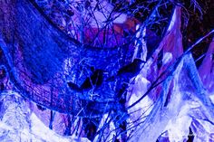 an image of blue and purple ice formations