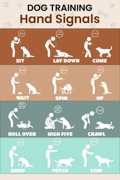 the dog training manual for dogs with instructions on how to handle them and how to use it