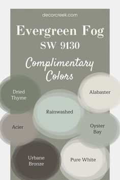 The image showcases a calming color palette centered around Evergreen Fog SW 9130, a soft, peaceful green. Pairings include the clean and bright tones of Pure White and Alabaster, adding lightness, while Urbane Bronze provides a rich, bold contrast. The palette also features cool, modern shades like Acier, along with earthy greens such as Dried Thyme and Oyster Bay, complemented by the gentle blue tone of Rainwashed. Oyster Bay Sherwin Williams, Pure White Sherwin Williams, Evergreen Fog, Warm Neutral Paint Colors, Urbane Bronze, Painting Trim White, Blue Green Paints, Trim Colors, House Paint Interior