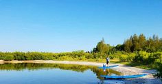 two people stand on their surfboards at the edge of a body of water with trees in the background