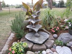 a garden with rocks and plants in it