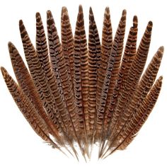 PRICES MAY VARY. ❤️Cruelty-Free Feathers: All pheasant feathers are 100% natural, undyed and all the pheasant tails feather lost naturally. No plucking is required and no pheasant has been harmed. iHUFeather has been focusing on feathers for 10 years. All our feather items have been professionally cleaned, steamed and sanitized to ensure odorless and safe for use. ❤️Multiple Sizes: There are different sizes for you to choose. Sizes are divided into 6-8 inch (15-20cm), 8-10 inch (20-25cm), 10-12 Wedding Party Centerpieces, Home Wedding Party, Feather Mask, Pheasant Feathers, Feather Crafts, Turkey Feathers, Diy Hat, Crafts Home, Tail Feathers