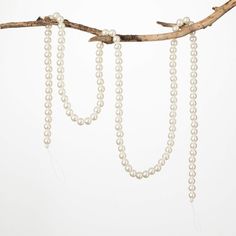 three strands of pearls hang from a branch on a white background with copy space