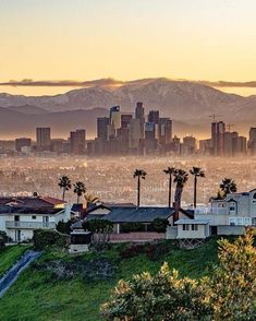 the city skyline is shown in front of mountains and palm trees, as seen from atop a hill