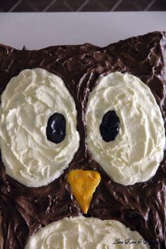 an owl cake with white frosting and chocolate icing on it's face