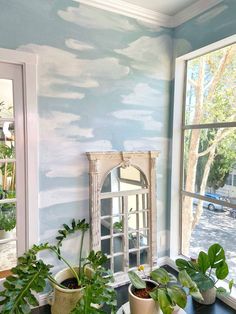 some plants are sitting on a table in front of a window with a blue painted wall