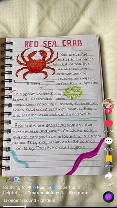 a red sea crab recipe book on a bed