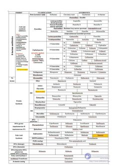 a table that has different types of words and numbers in each column, including the names