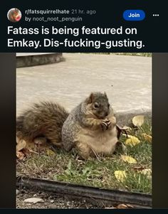 a squirrel sitting on the ground next to another squirrel eating something in it's mouth