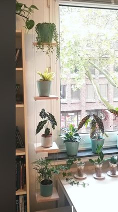 a window sill filled with potted plants next to a book shelf full of books