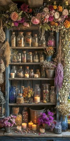 a shelf filled with lots of different types of flowers