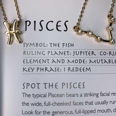 the pisces zodiac sign necklaces are on display in front of a poster