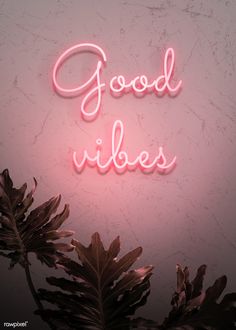 a pink neon sign that says good vibes