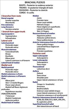 the names and abbreviations of brachial plexus in english or spanish