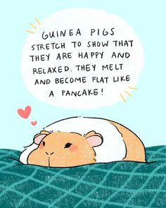 a drawing of a hamster laying on the ground with a thought bubble above it